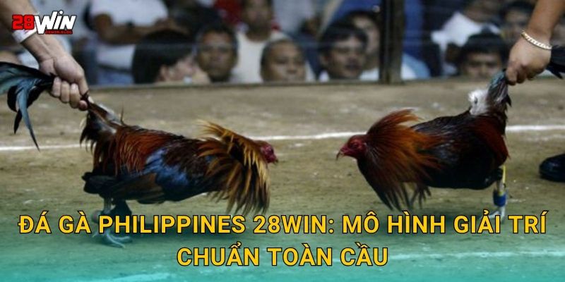 Đá gà Philippines 28win: Mô hình giải trí chuẩn toàn cầu